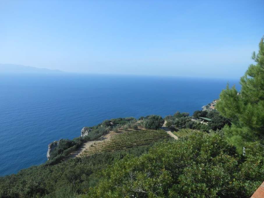 INCANTEVOLE TENUTA VISTA MARE