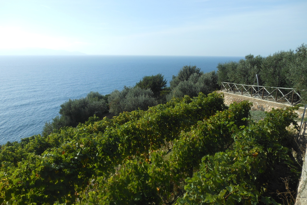 INCANTEVOLE TENUTA VISTA MARE