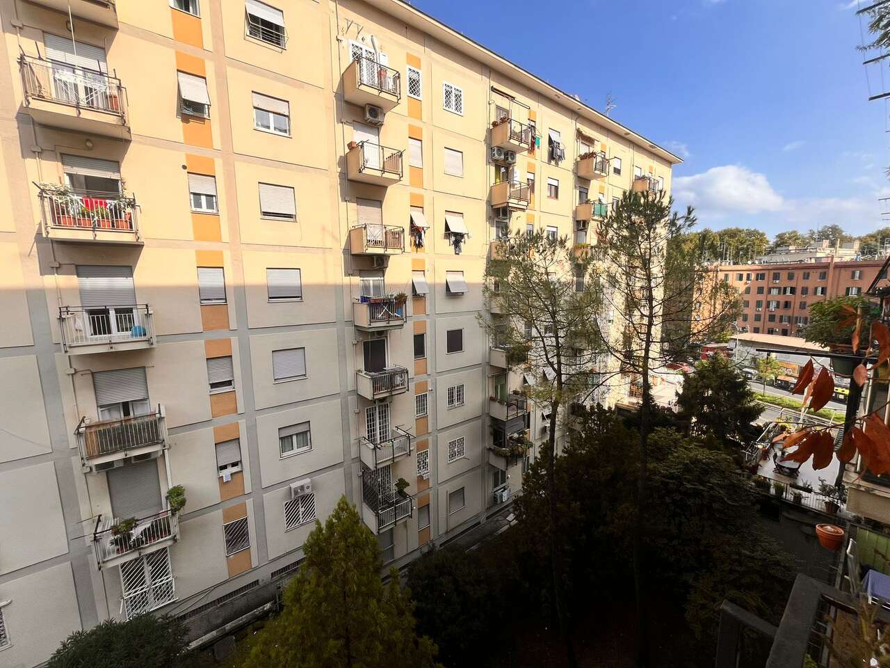 Bright High-Floor Apartment