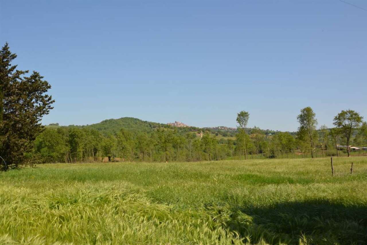 UN GIOIELLO TRA LE COLLINE TOSCANE