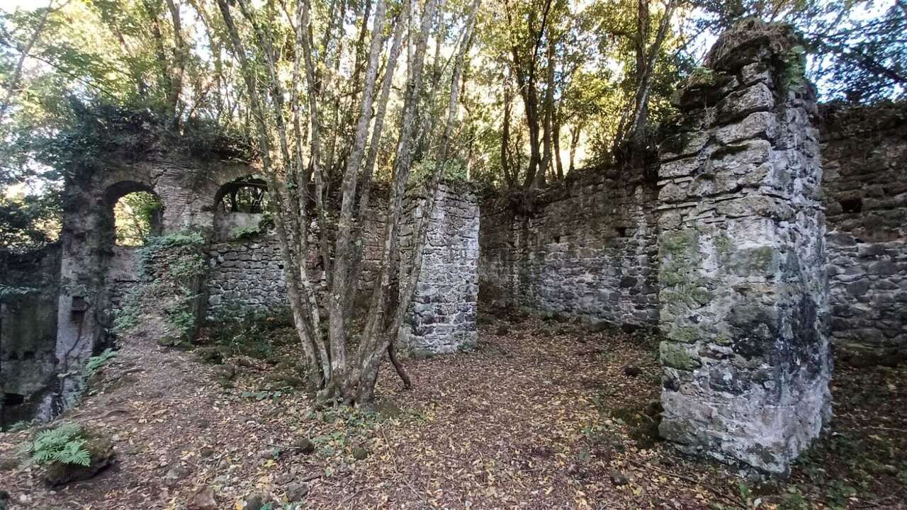 DELIZIOSI APPARTAMENTI IMMERSI NEL VERDE