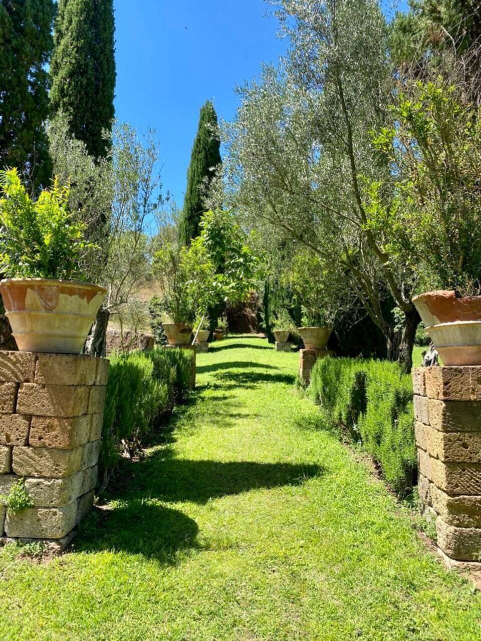 VETRALLA , SUGGESTIVA PROPRIETA'