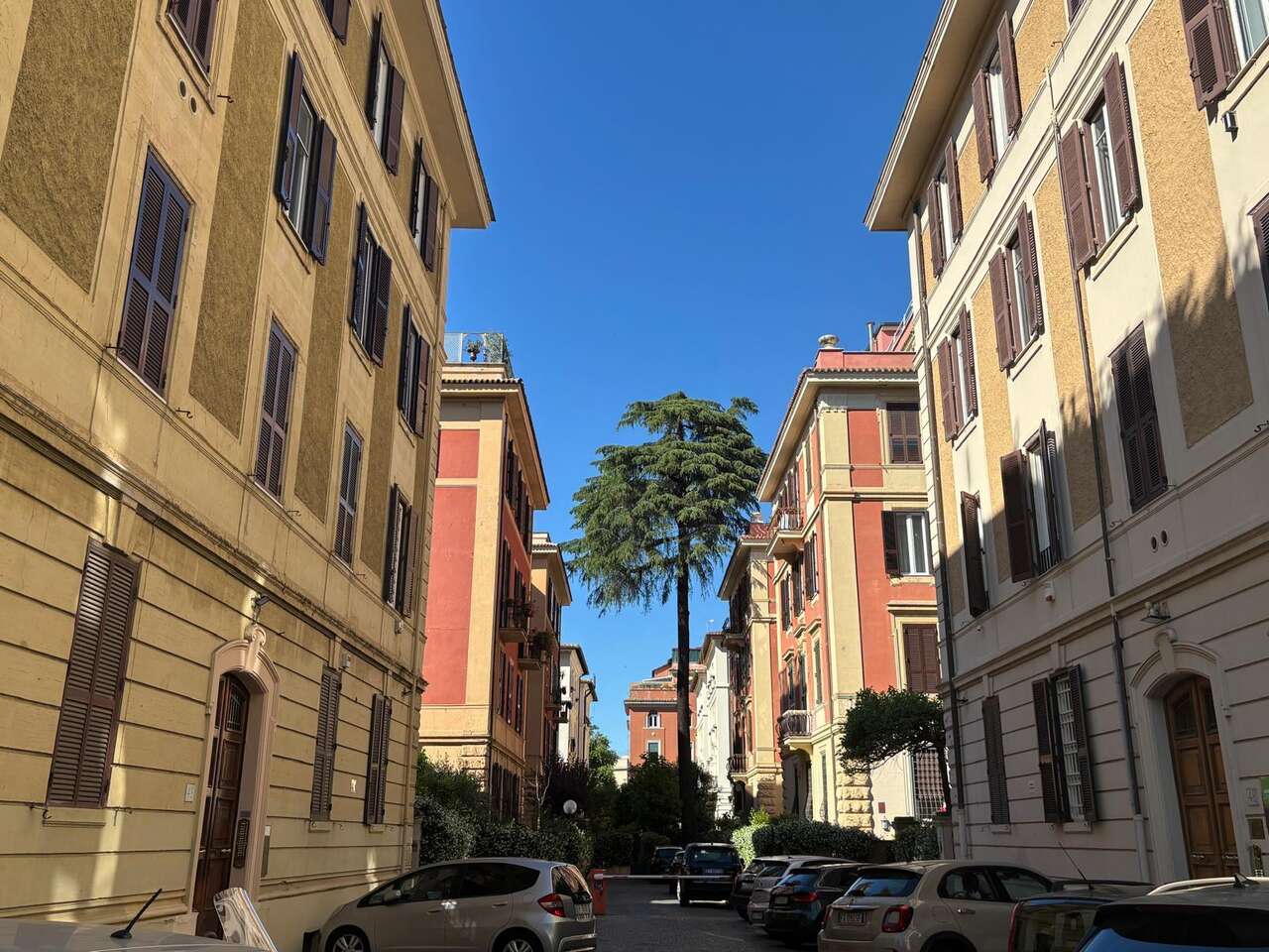 PRESTIGIOSO UFFICIO PINCIANO