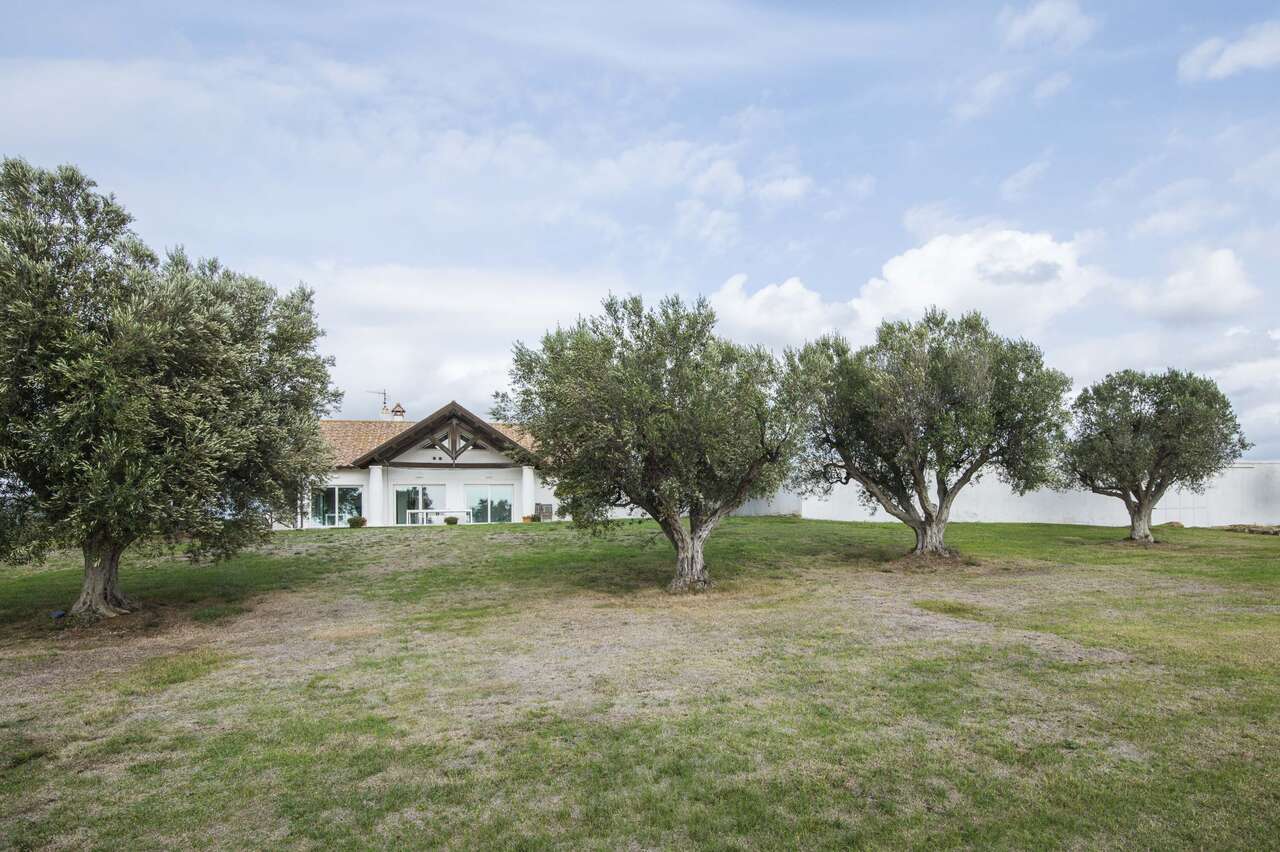  MONTALTO DI CASTRO PRESTIGIOUS VILLA