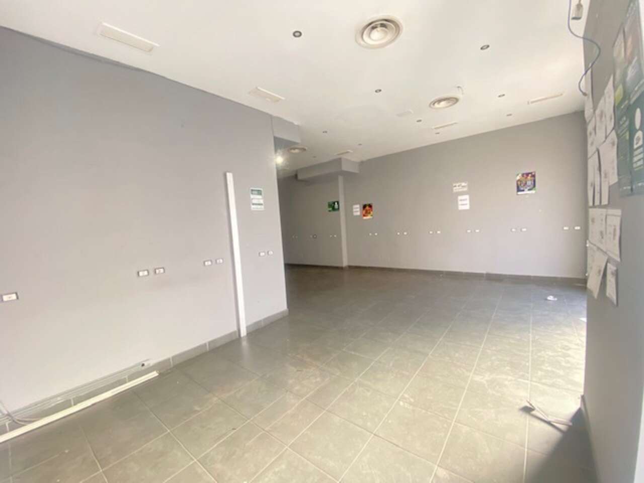 COMMERCIAL PREMISES IN THE TUSCOLAN AREA