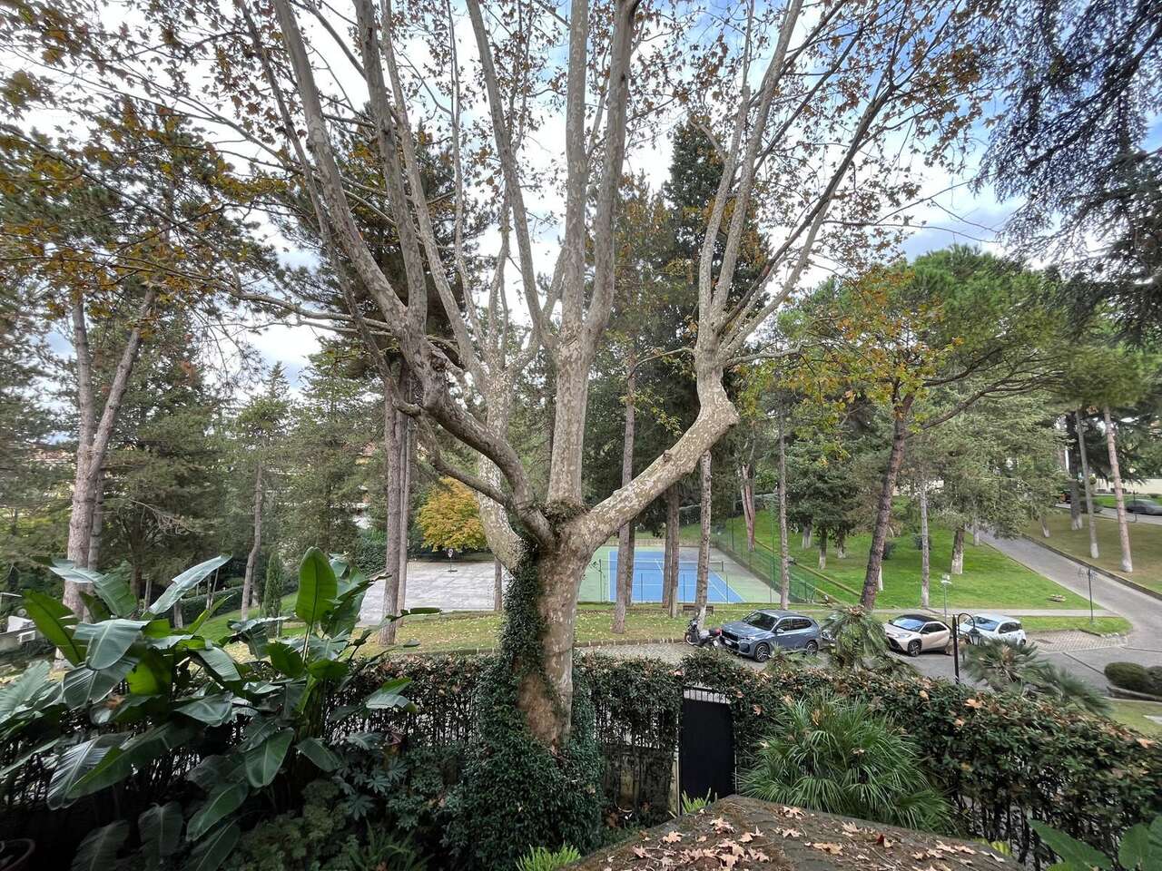 CAMILLUCCIA, CHARMING APARTMENT