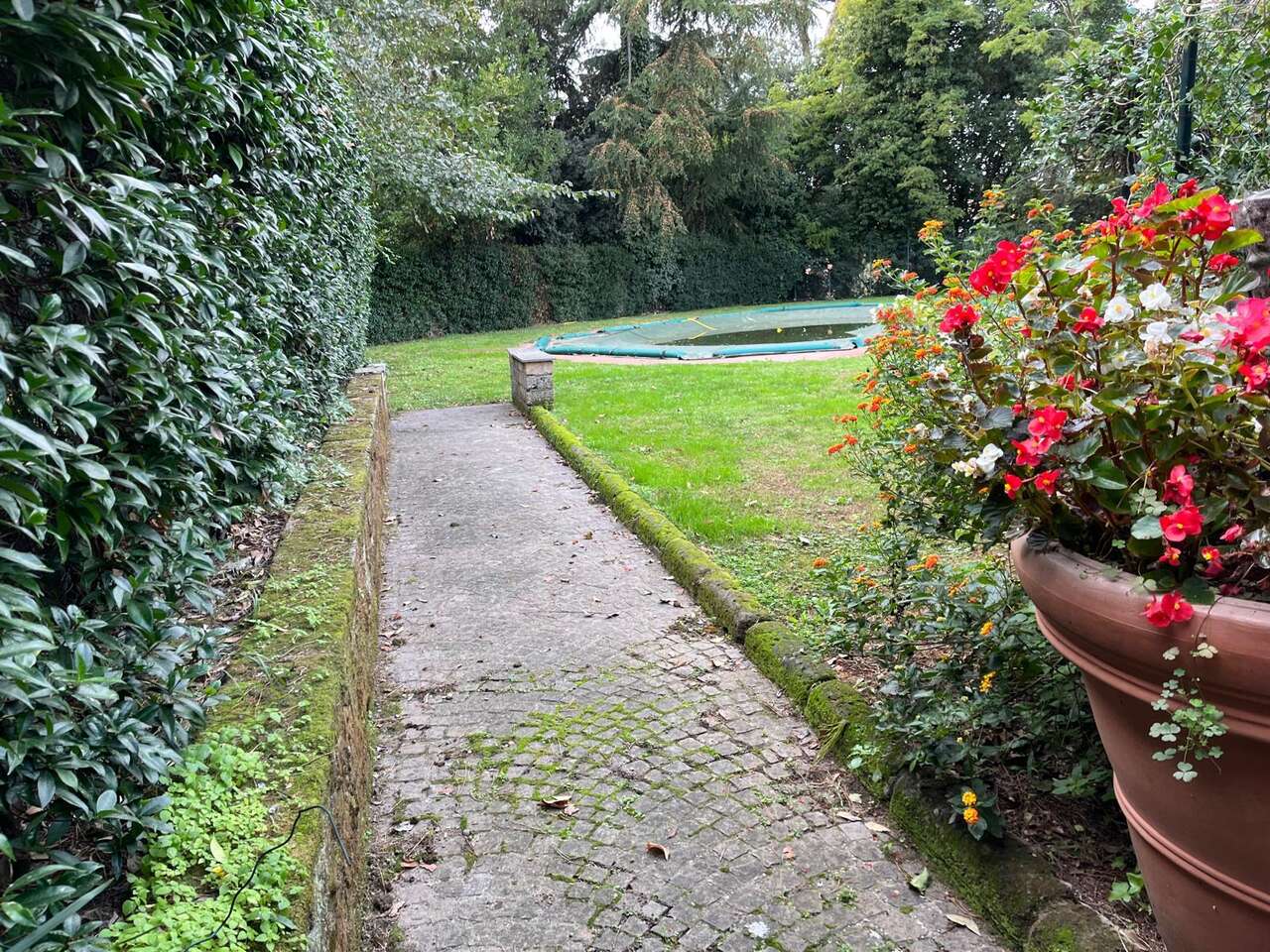 CAMILLUCCIA, CHARMING APARTMENT