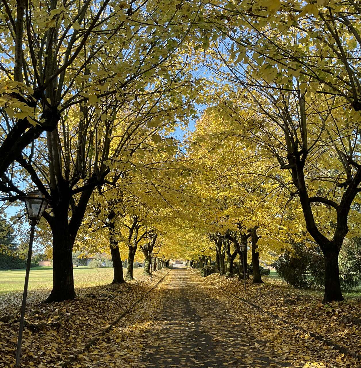 SCORANO, VILLA CON GIARDINO SCORANO, VILLA CON GIARDINO
