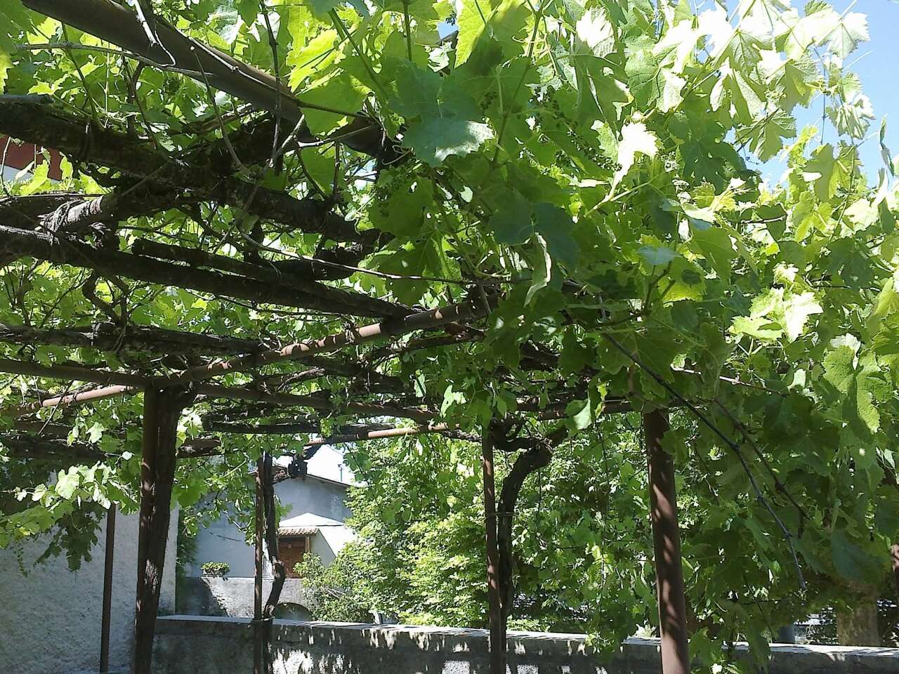 VILLA MATTIA BATTISTINI