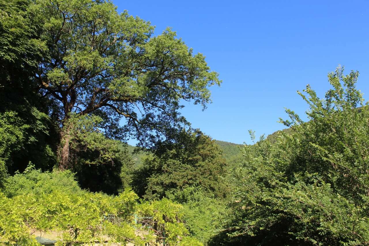 Villa in Sabina Along the St. Francis Way Villa in Sabina Along the St. Francis Way