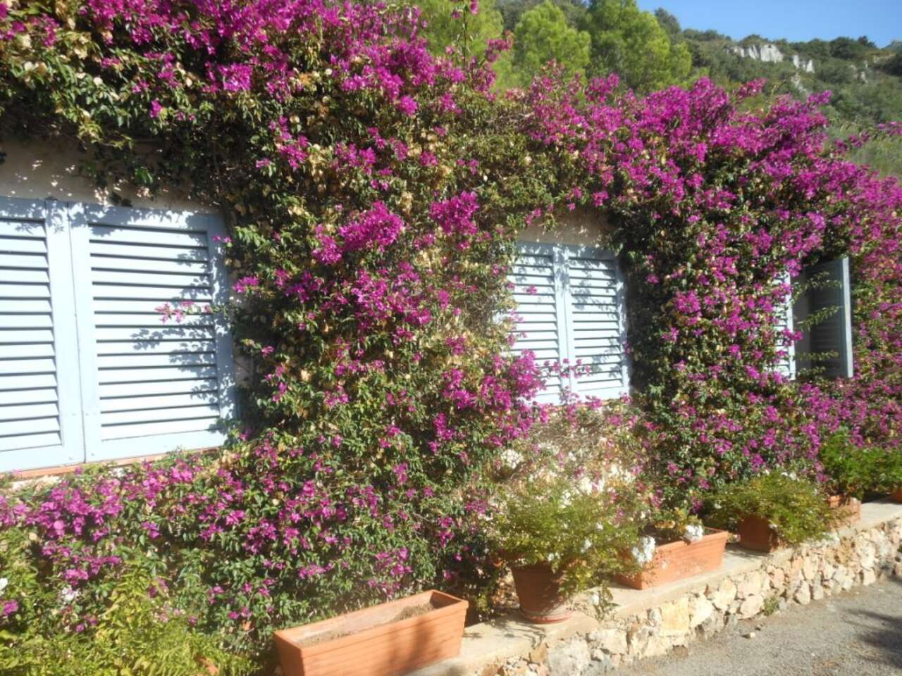 MONTE ARGENTARIO, ENCHANTING PROPERTY