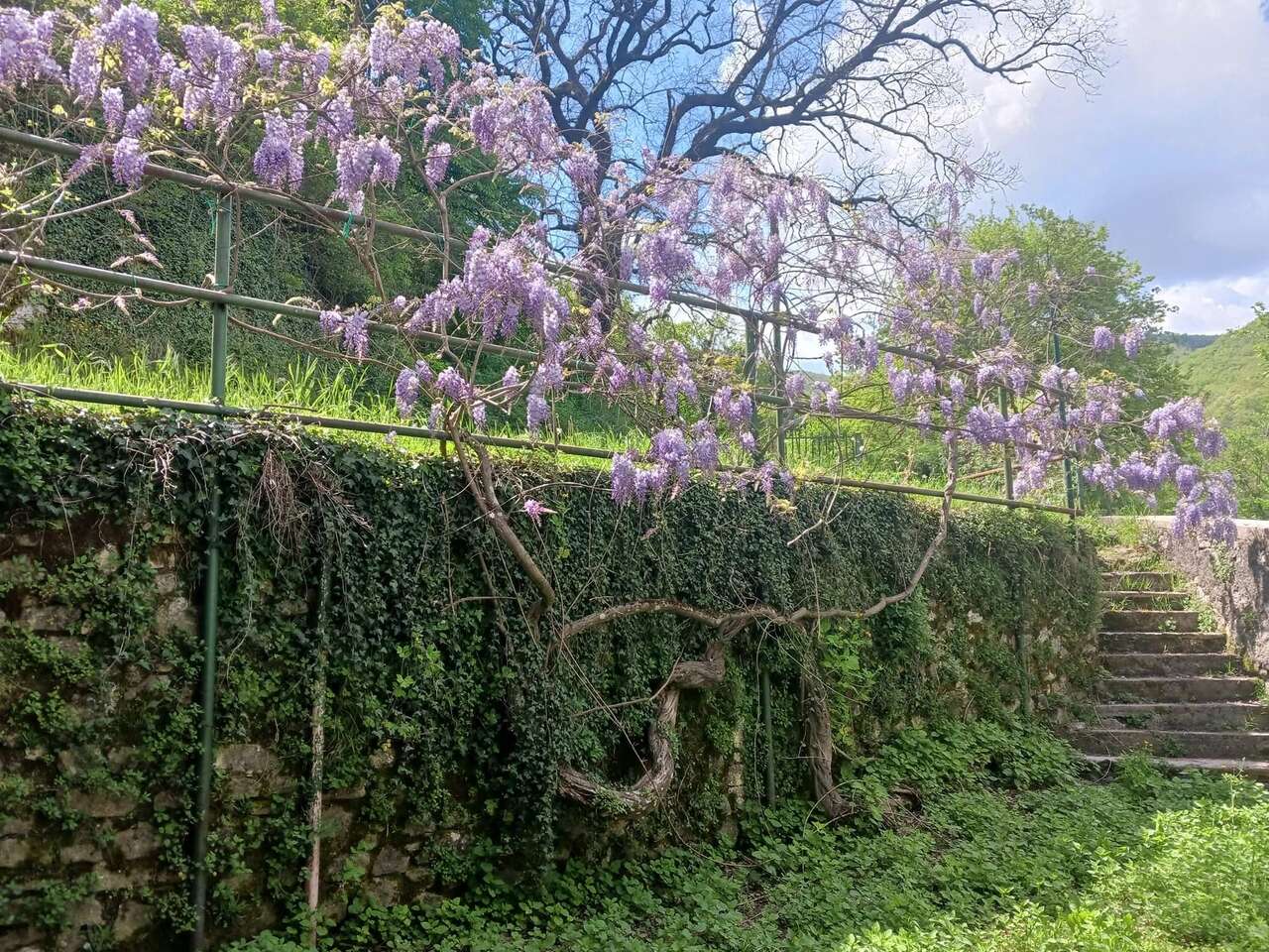 VILLA MATTIA BATTISTINI