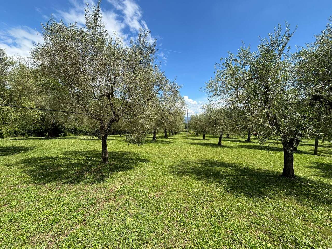 ORTE VILLA UNIFAMILIARE ORTE VILLA UNIFAMILIARE