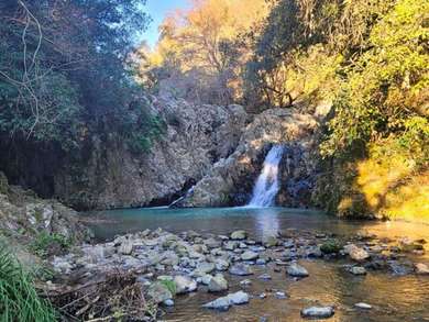 DELIZIOSI APPARTAMENTI IMMERSI NEL VERDE