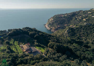 TENUTA CAPO D'UOMO SUL MONTE ARGENTARIO