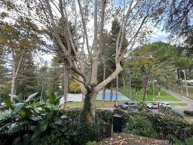 CAMILLUCCIA, CHARMING APARTMENT