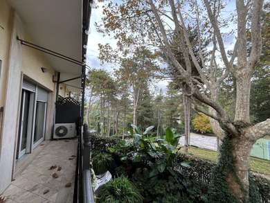 CAMILLUCCIA, CHARMING APARTMENT