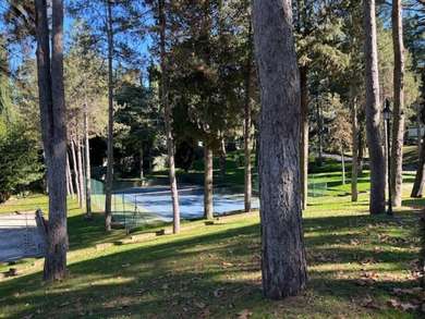 CAMILLUCCIA, CHARMING APARTMENT