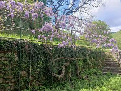 VILLA MATTIA BATTISTINI