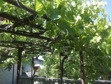 Villa in Sabina Along the St. Francis Way