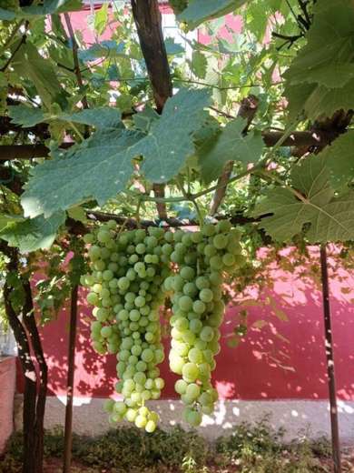 Villa in Sabina Along the St. Francis Way