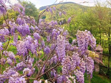 Villa in Sabina Along the St. Francis Way