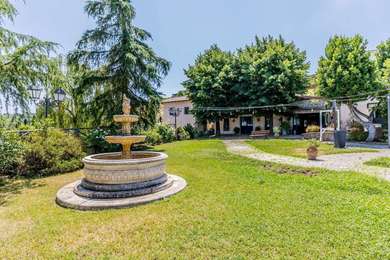 FRASCATI UN VERO GIOIELLO TRA VIGNETI E ULIVI