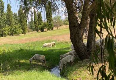 VITERBO, CHARMING PROPERTY