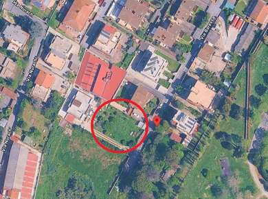 Roma, Pisana